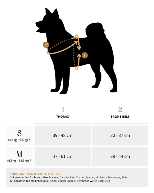 Lovinu sizes Arness Noruego